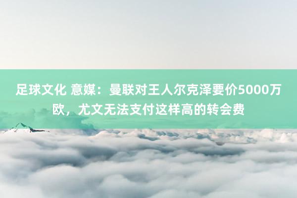 足球文化 意媒：曼联对王人尔克泽要价5000万欧，尤文无法支付这样高的转会费