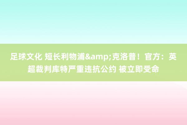 足球文化 短长利物浦&克洛普！官方：英超裁判库特严重违抗公约 被立即受命