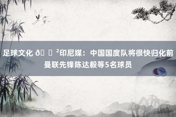 足球文化 😲印尼媒：中国国度队将很快归化前曼联先锋陈达毅等5名球员