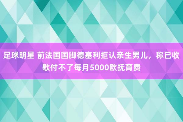 足球明星 前法国国脚德塞利拒认亲生男儿，称已收歇付不了每月5000欧抚育费