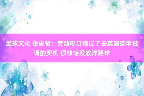 足球文化 肇俊哲：劳动糊口错过了去英超德甲试训的契机 很缺憾没放洋踢球