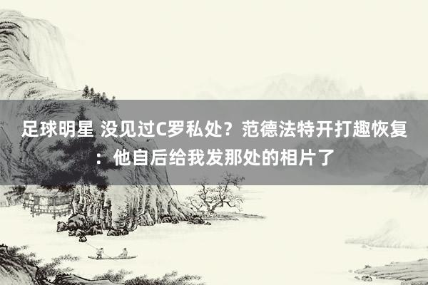 足球明星 没见过C罗私处？范德法特开打趣恢复：他自后给我发那处的相片了