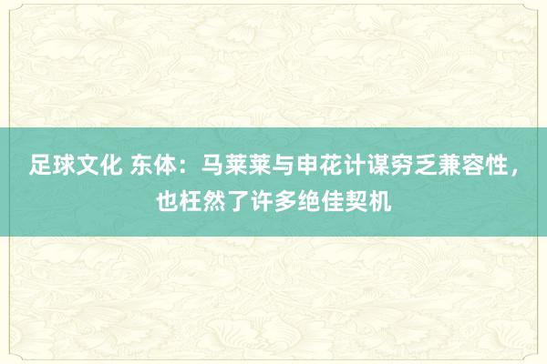 足球文化 东体：马莱莱与申花计谋穷乏兼容性，也枉然了许多绝佳契机