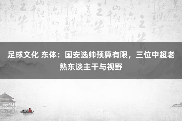 足球文化 东体：国安选帅预算有限，三位中超老熟东谈主干与视野