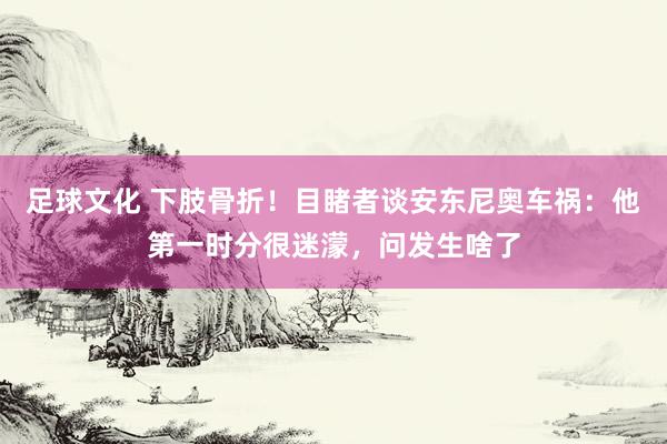 足球文化 下肢骨折！目睹者谈安东尼奥车祸：他第一时分很迷濛，问发生啥了