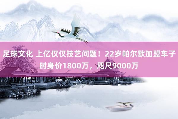 足球文化 上亿仅仅技艺问题！22岁帕尔默加盟车子时身价1800万，咫尺9000万