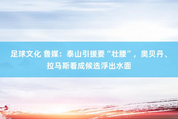 足球文化 鲁媒：泰山引援要“壮腰”，奥贝丹、拉马斯看成候选浮出水面