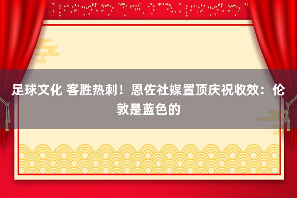 足球文化 客胜热刺！恩佐社媒置顶庆祝收效：伦敦是蓝色的