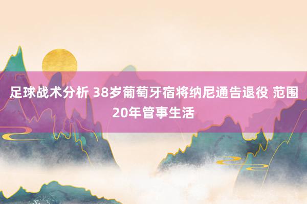 足球战术分析 38岁葡萄牙宿将纳尼通告退役 范围20年管事生活